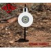 STS Rimfire Stake Target